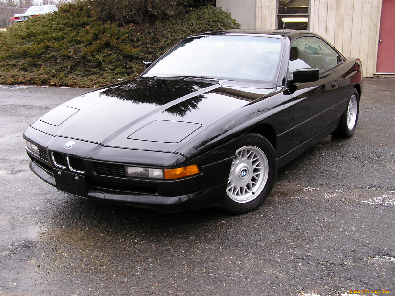 bmw, 850, 